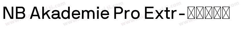 NB Akademie Pro Extr字体转换